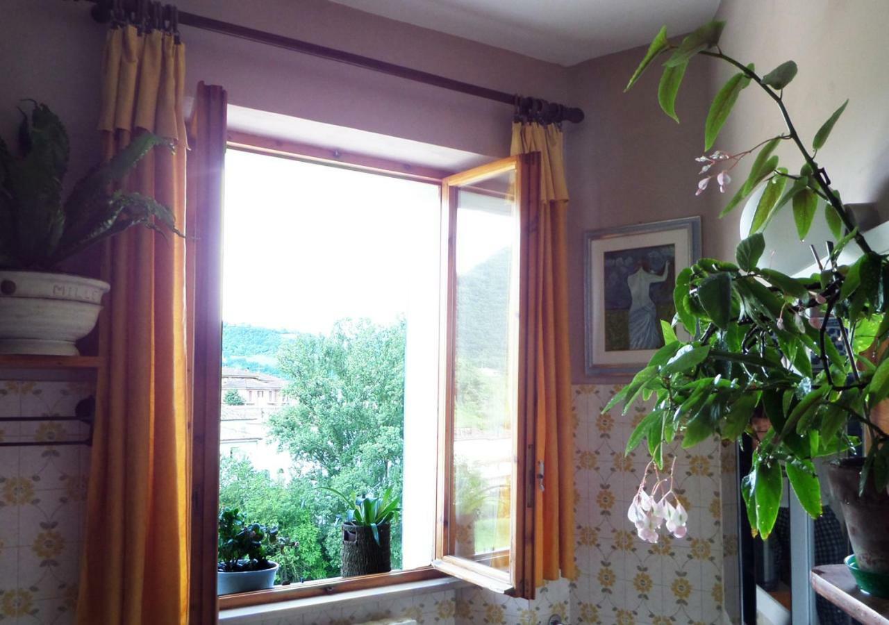 La Finestra Sul Fiume Bed & Breakfast Fossombrone Dış mekan fotoğraf